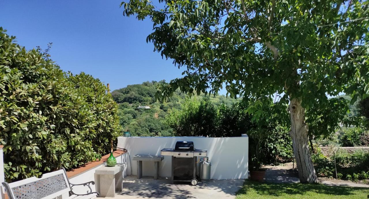 Il Giardino Apartment Barano d'Ischia Exterior photo